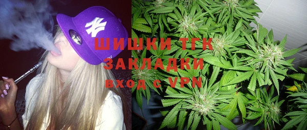 тгк Богородицк
