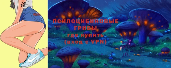мескалин Богданович