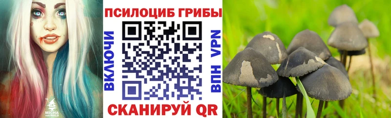 Галлюциногенные грибы MAGIC MUSHROOMS  Лесозаводск 