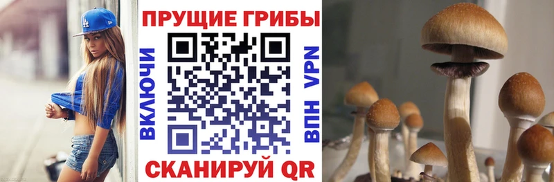 Галлюциногенные грибы GOLDEN TEACHER Лесозаводск
